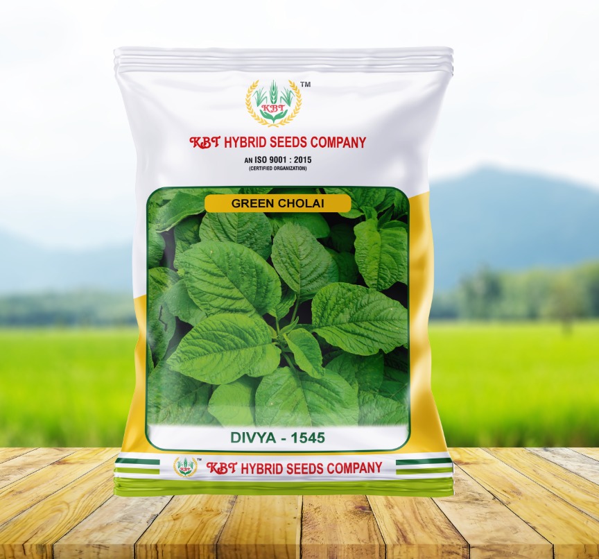 Green Chaulai DIVYA-1545   250g