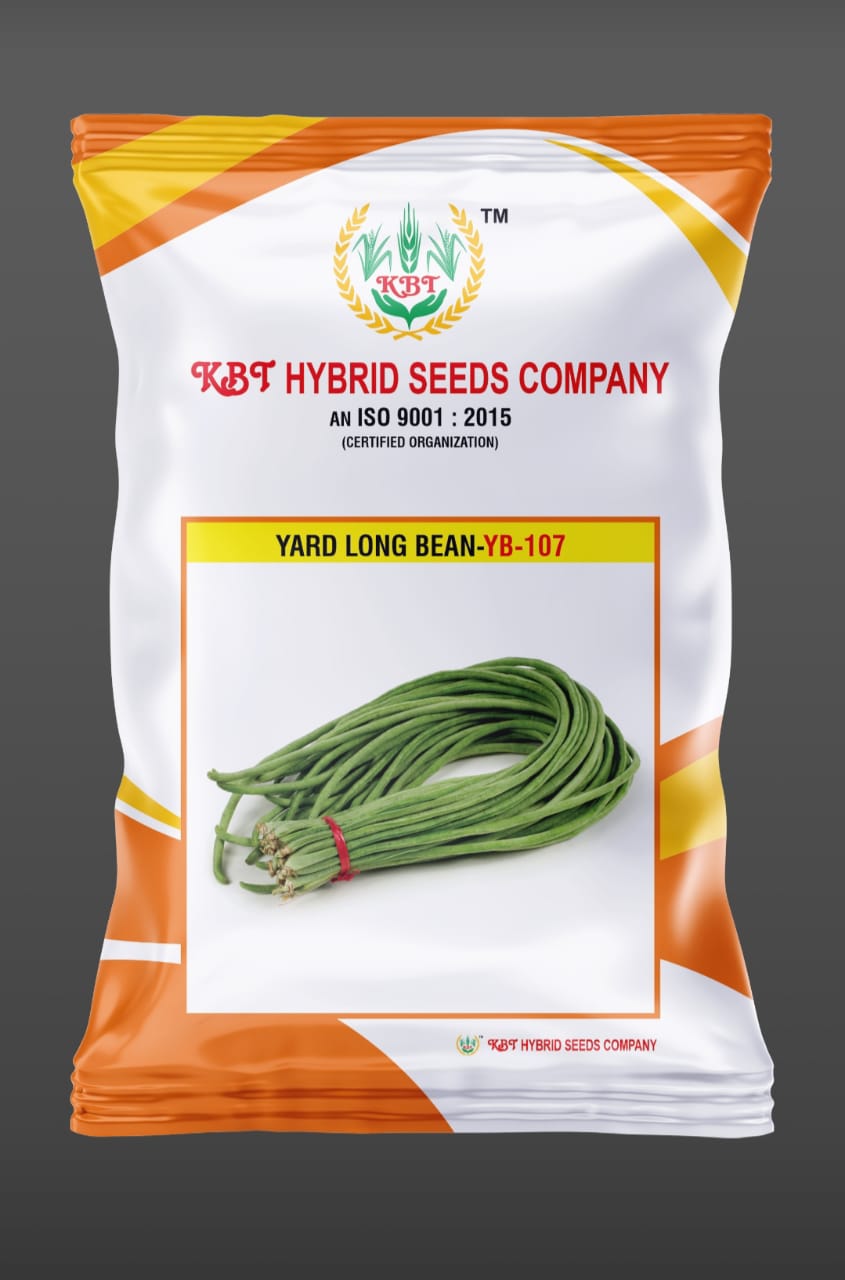 YARD LONG BEAN - YB - 107 | KBT Agri | 100 gm