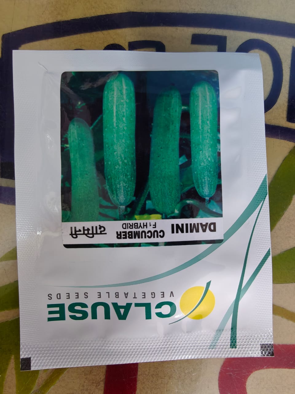 CLAUSE DAMINI | 10g | CUCUMBER Hybrid seeds