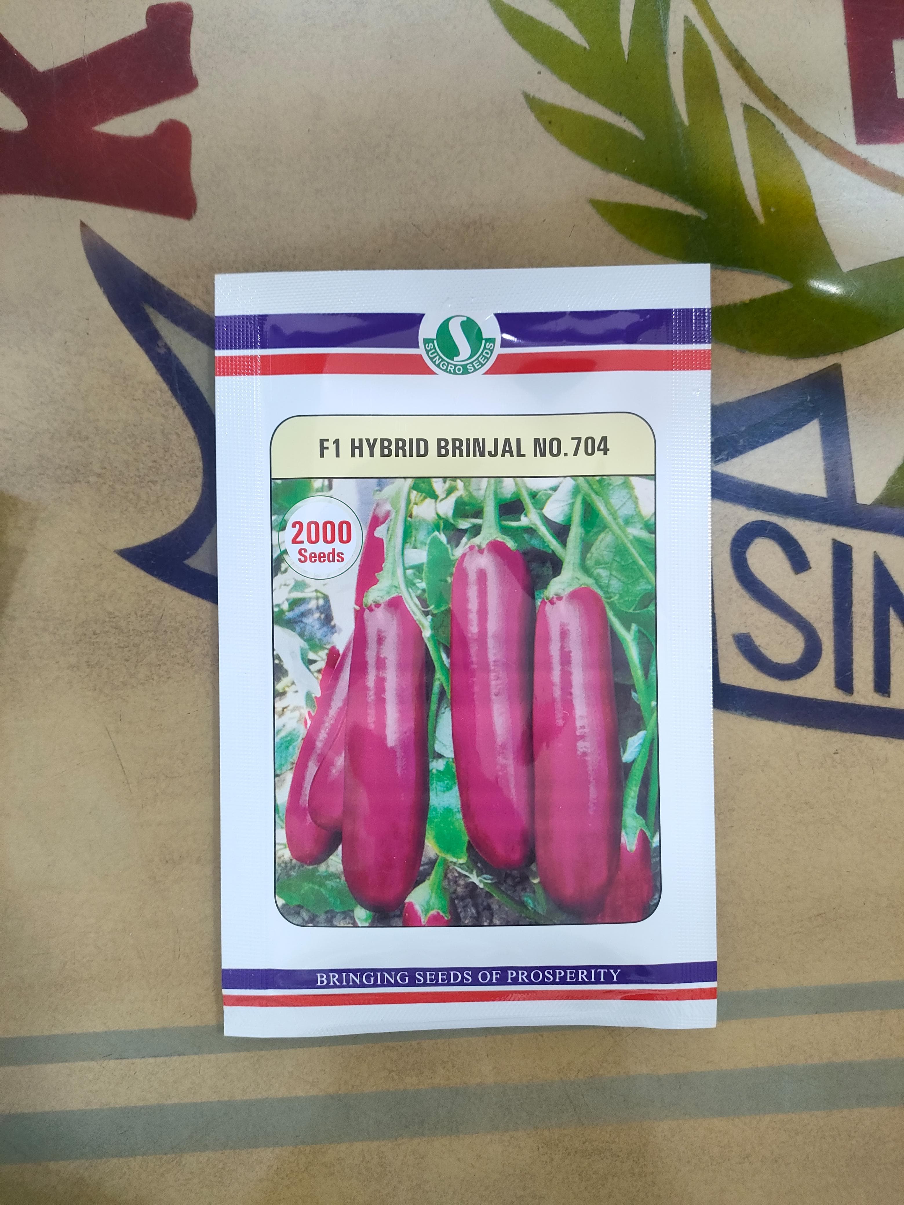 F1 HYBRID BRINJAL No. 704 | 2000 Seeds ( 9.7g ) | SUNGRO SEEDS ( MAHYCO )