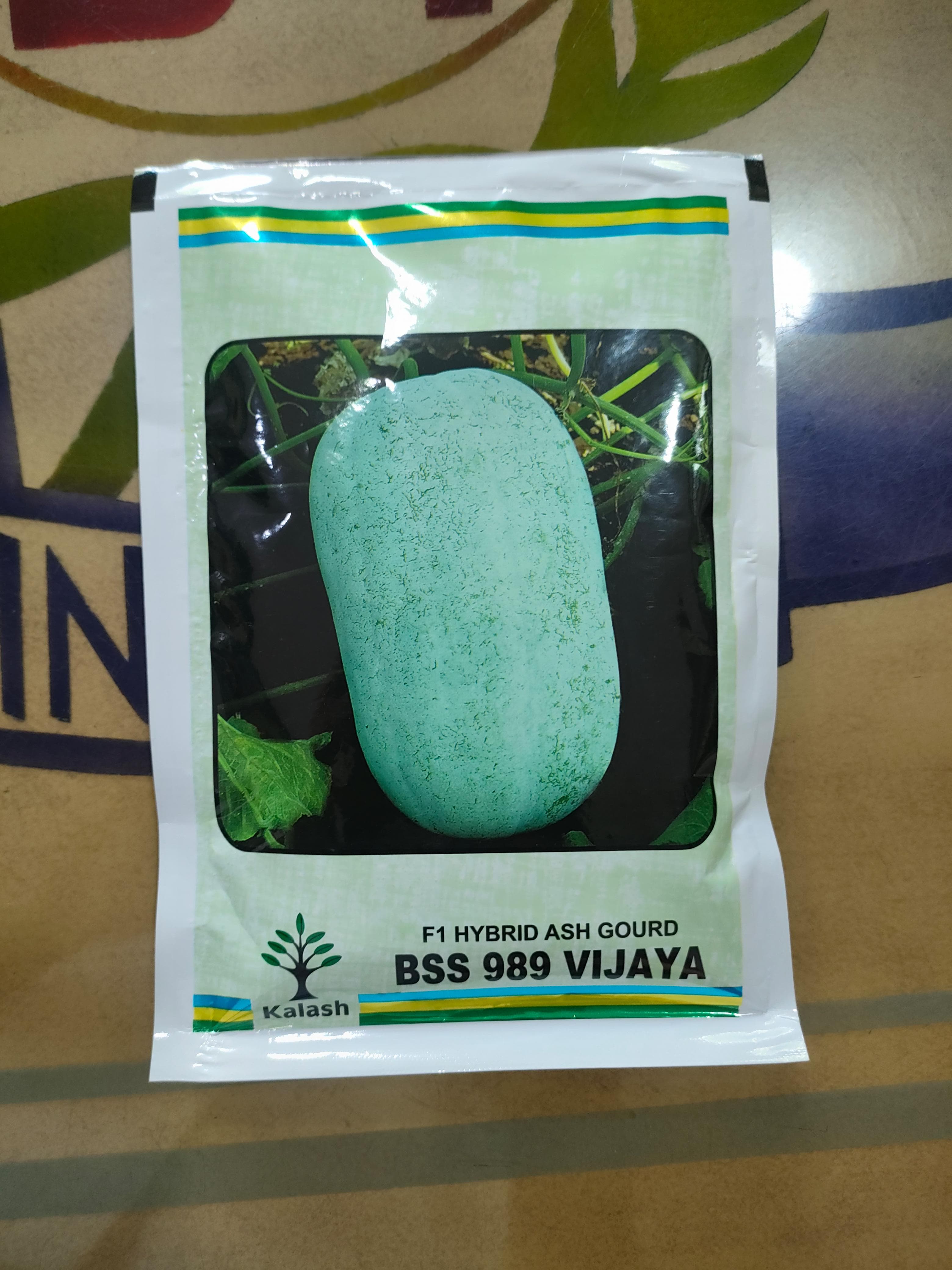 F1 HYBRID ASH GOURD BSS 989 VIJAYA | 50g | KALASH Seeds