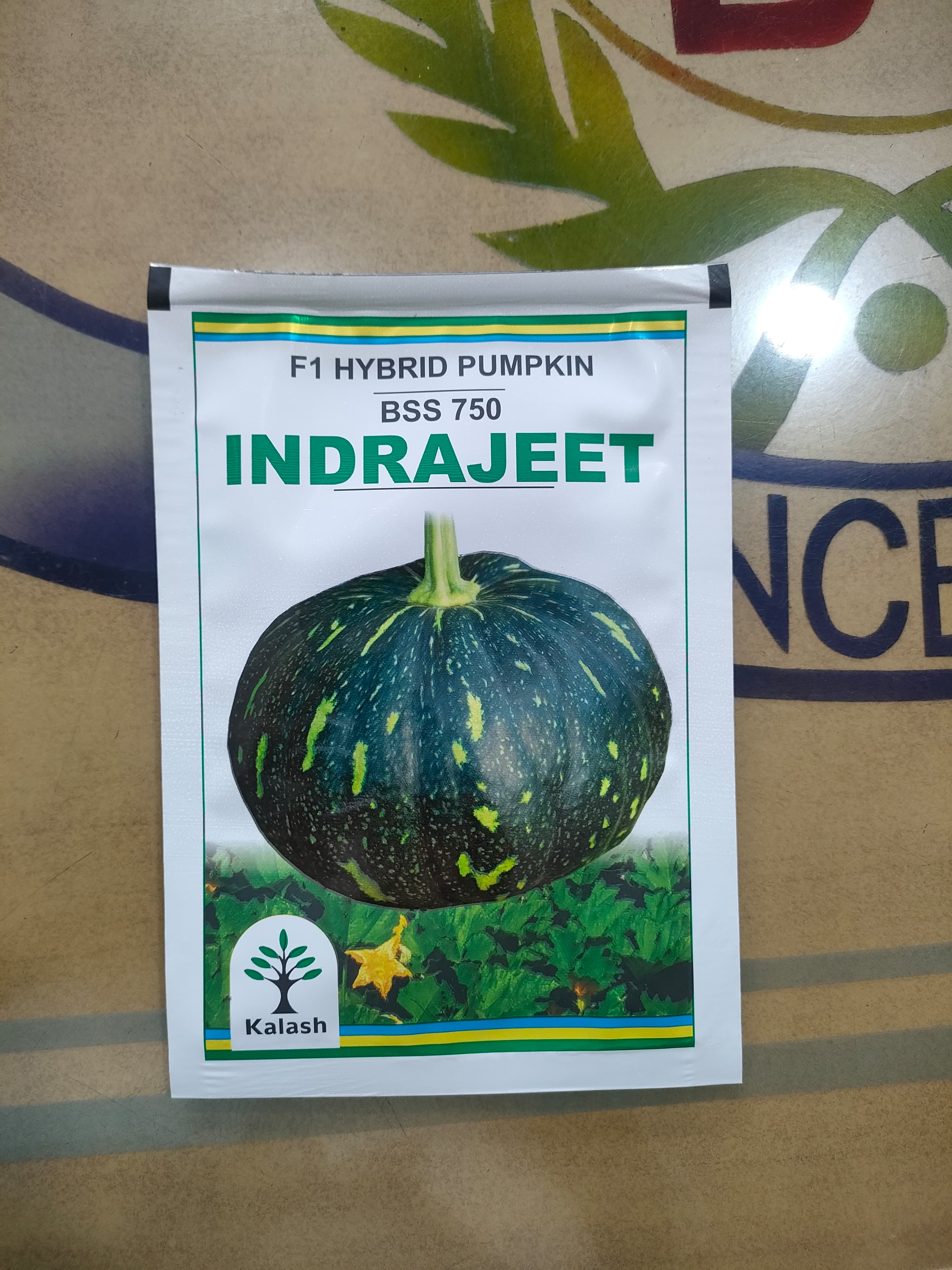F1 HYBRID PUMPKIN BSS 750 INDRAJEET | 10g | KALASH SEEDS