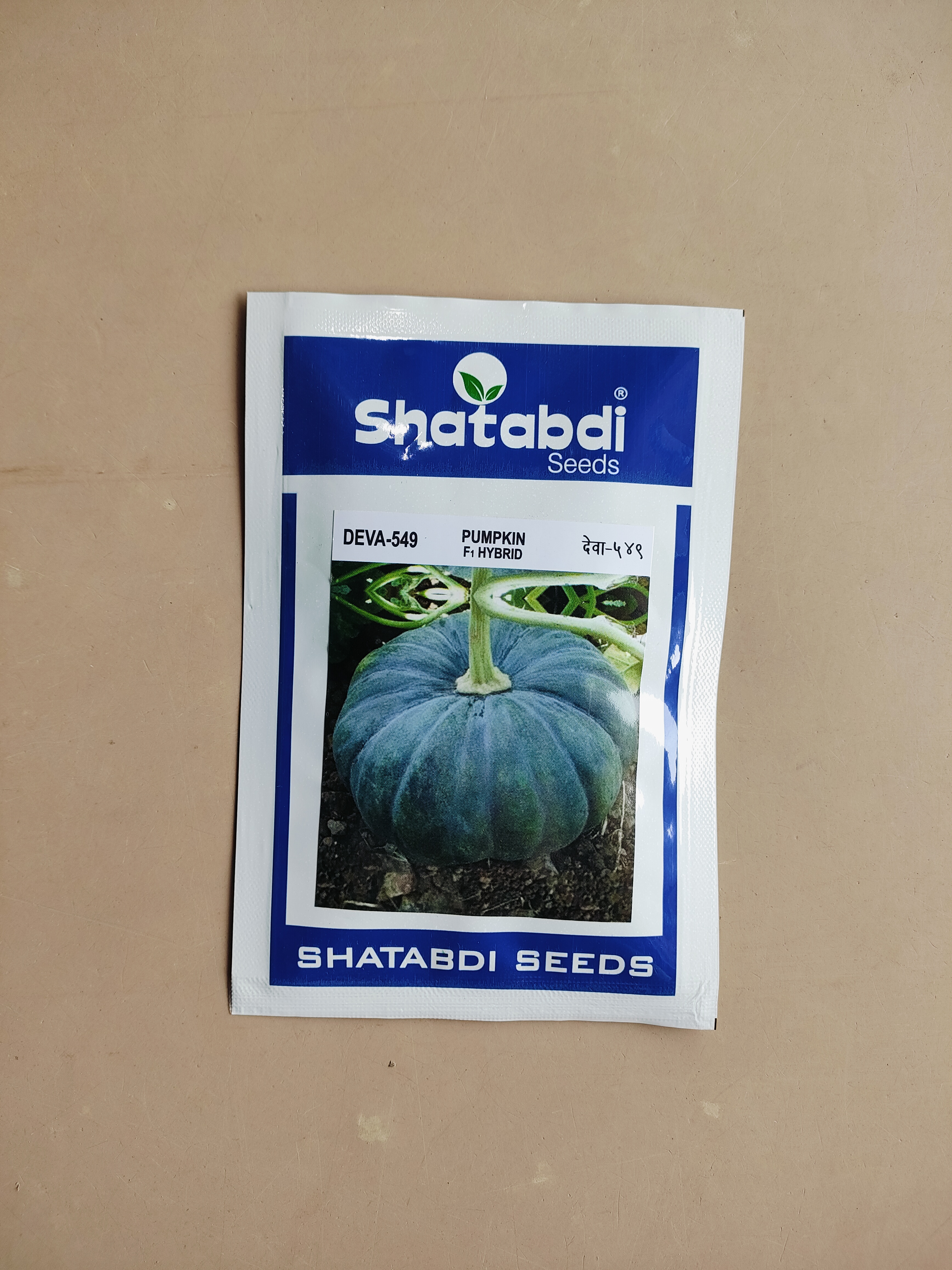 Pumpkin Deva - 549 10g | F1 Hybrid | Shatabdi Seeds