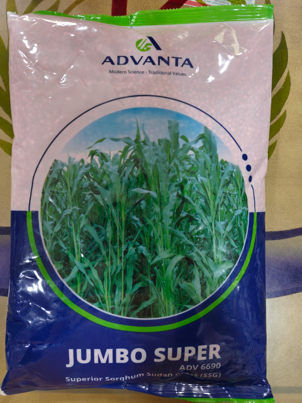 Advanta Jumbo Super ADV 6690 Sorghum Sudan Grass Seeds 2kg