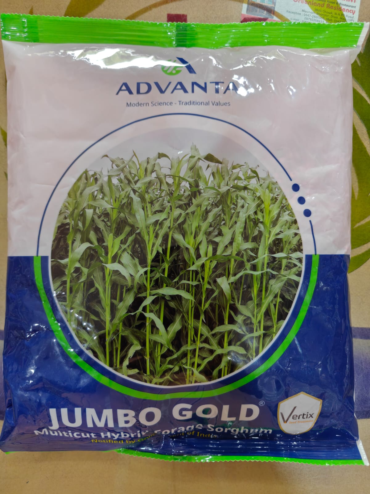 Advanta Jumbo Gold CSH 24MF Multicut Hybrid Forage Sorghum Seeds 1kg
