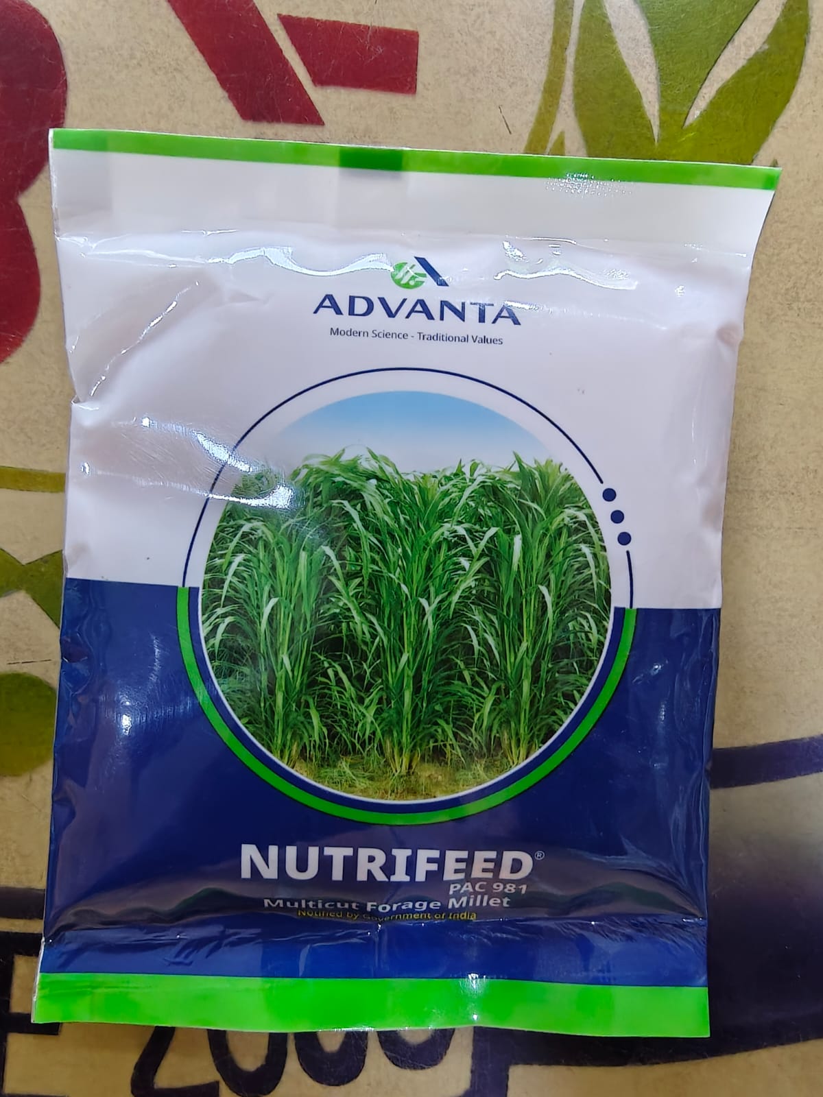 Advanta Nutrifed PAC 981 Multicut Forage Millet Seeds 100g