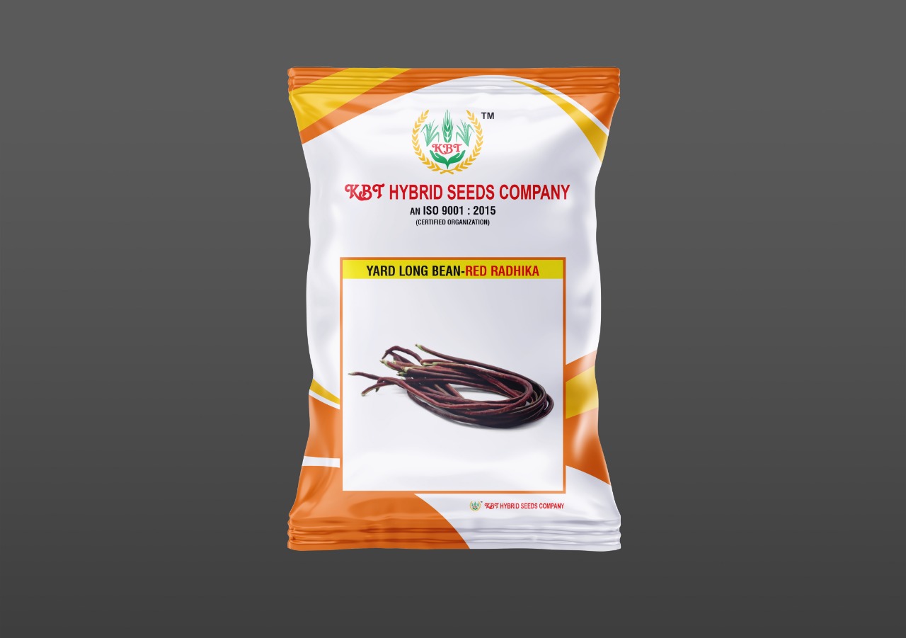 YARD LONG BEAN-RED RADHIKA 100g