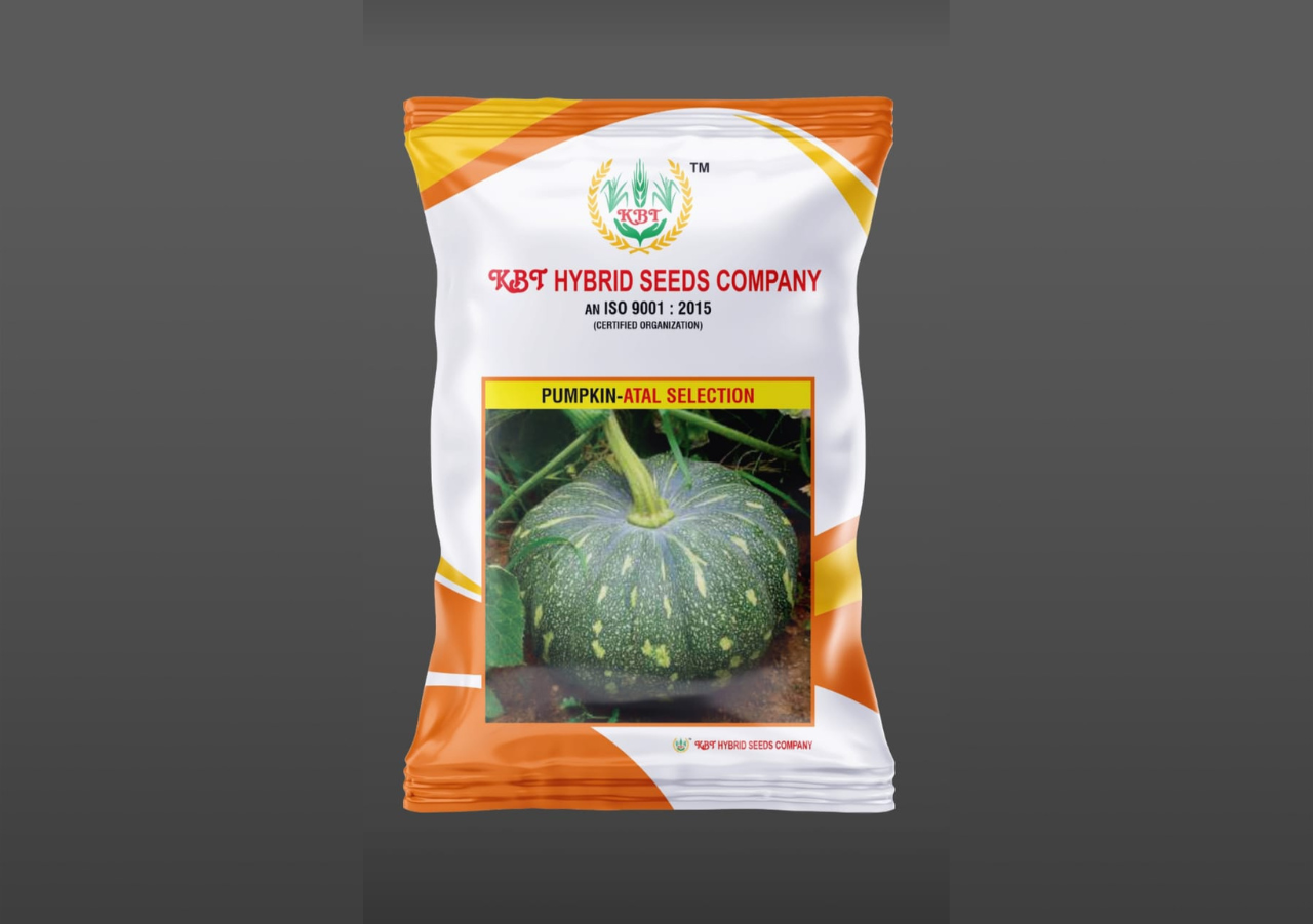 PUMPKIN - ATAL SELECTION 50g