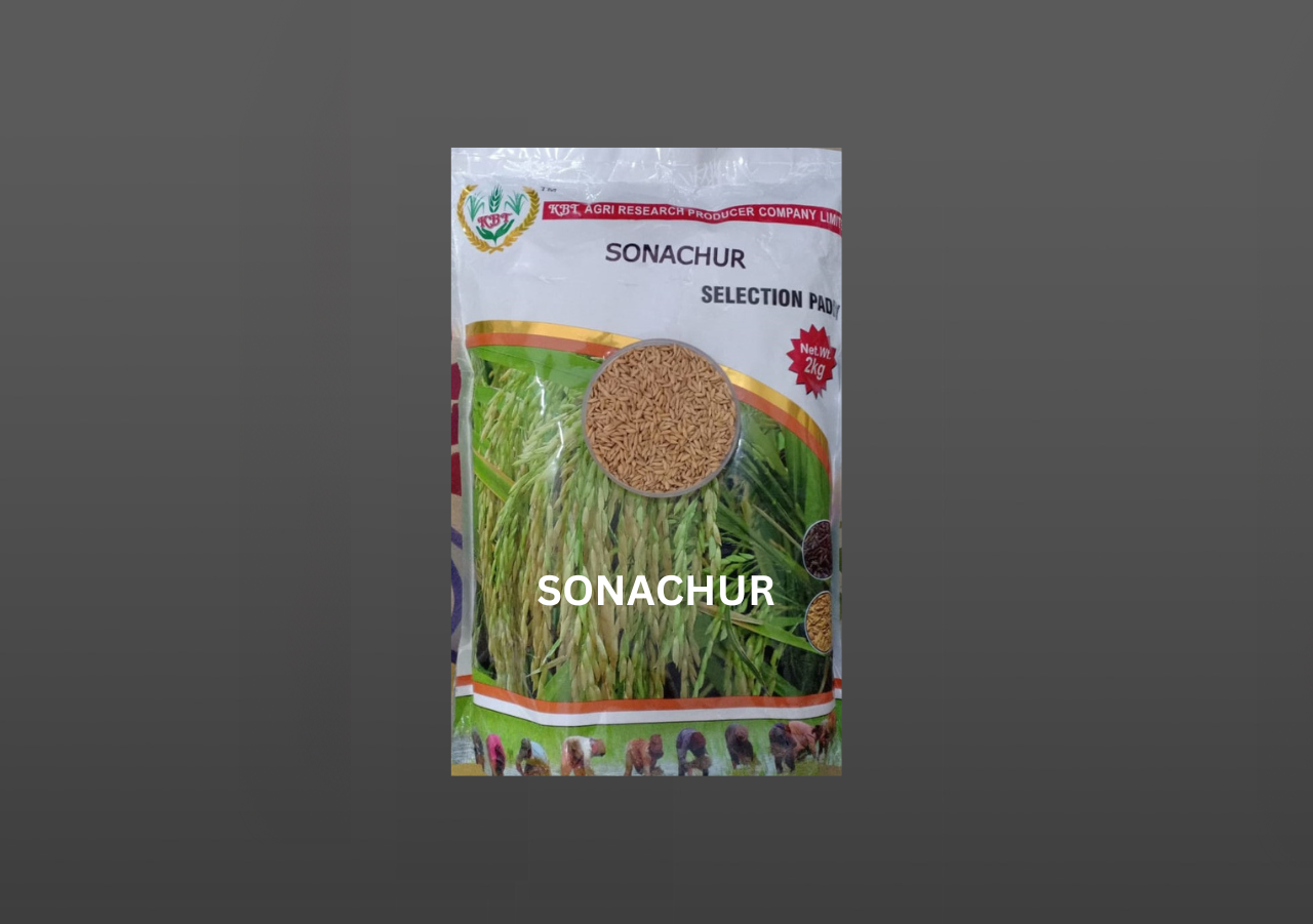 KBT SONACHUR (SENTED) PADDY 2Kg