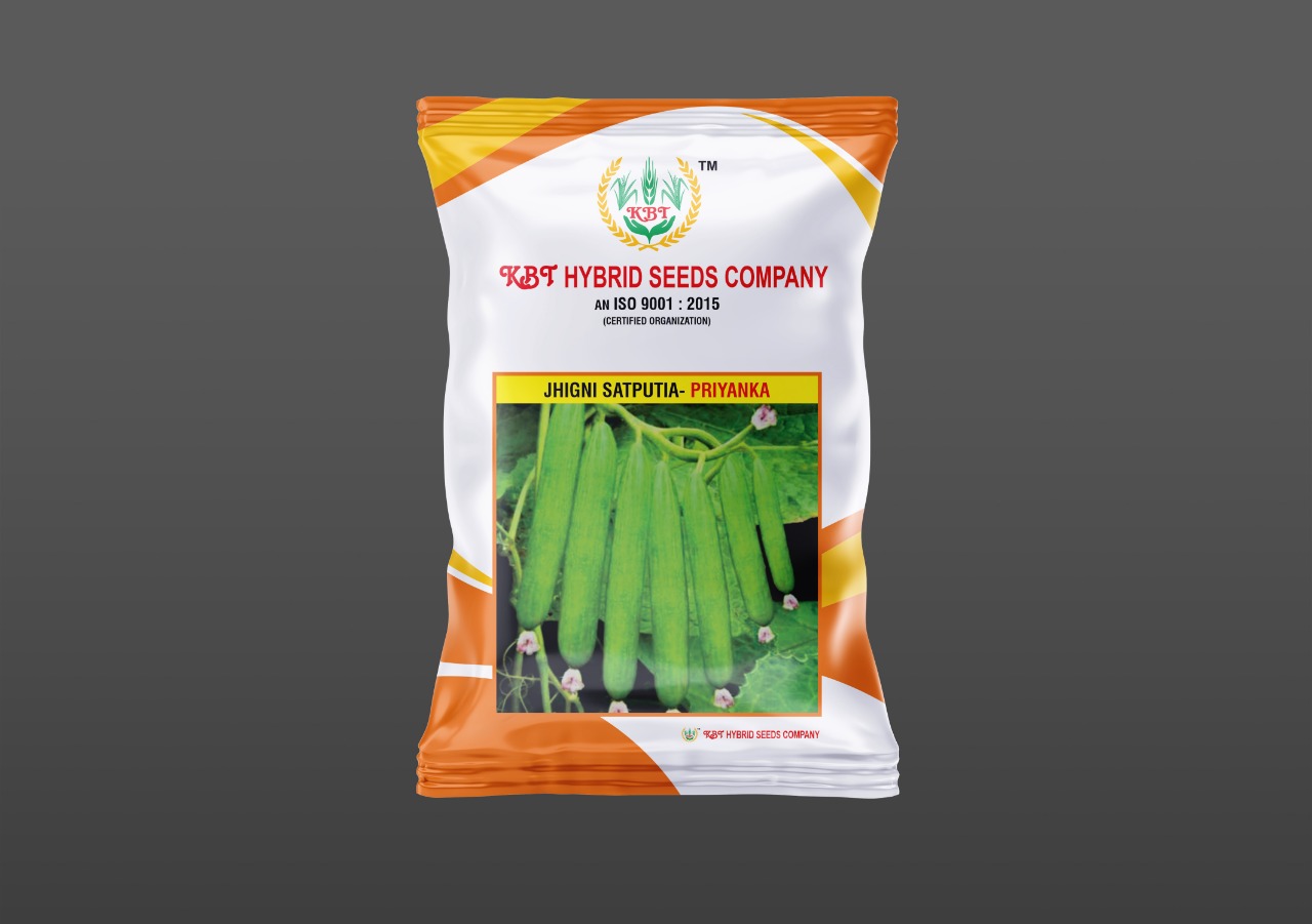 JHIGNI SATPUTIA - PRIYANKA 100g